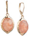 Anne Klein Gold-Tone Stone Drop Earrings New