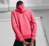Puma Women's Essential+ Logo Fleece Hoodie Tart Cherry M