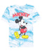 HYBRID Big Boys Mickey Mouse Tie Dye Short Sleeve T-shirt Blue/ White Size S (8)