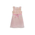 Rare Editions Little Girls Pleated Dress with Embroidered Bodice 6X