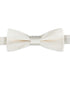 Calvin Klein Men's Textured Solid Bow Tie Ivory