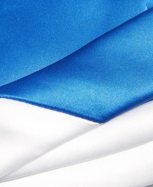 Tayion Collection Men Regular Fit Tie Necktie One Size Blue Phi Beta Sigma