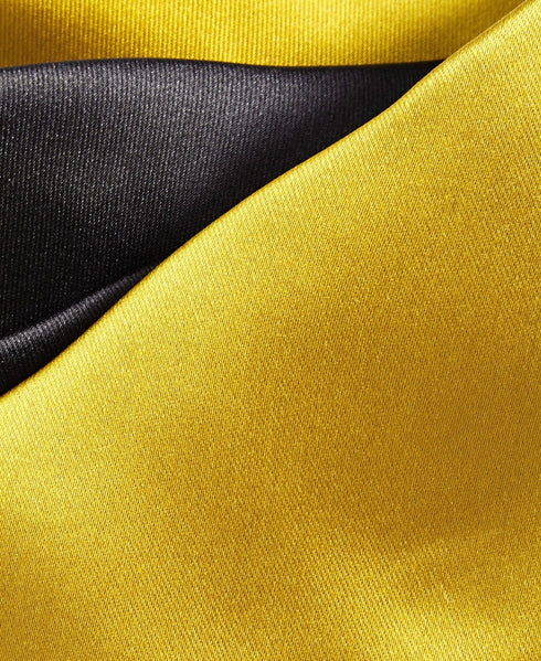 TAYION Mens Regular Fit Tie Necktie One Size Yellow Alpha Phi Alpha